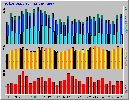Daily usage for January 2017