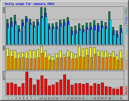 Daily usage for January 2022