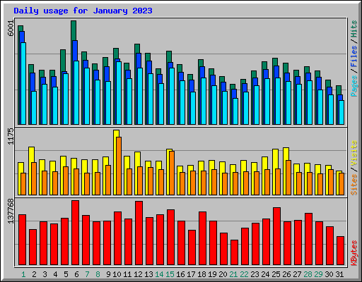 Daily usage for January 2023