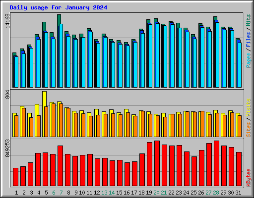 Daily usage for January 2024