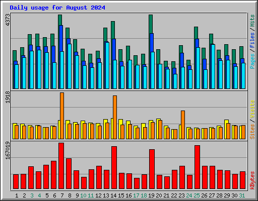 Daily usage for August 2024