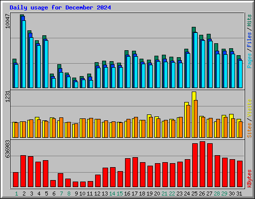 Daily usage for December 2024