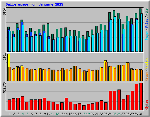 Daily usage for January 2025