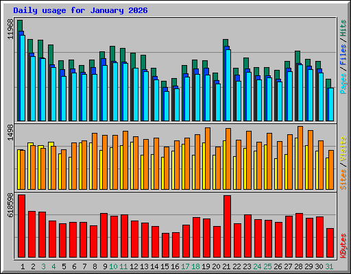 Daily usage for January 2026