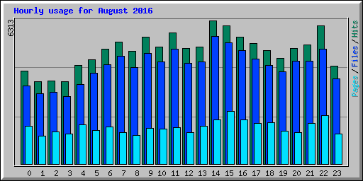 Hourly usage for August 2016