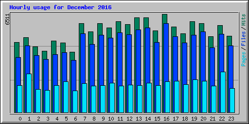 Hourly usage for December 2016