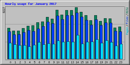 Hourly usage for January 2017