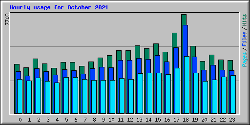 Hourly usage for October 2021