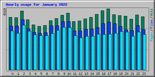 Hourly usage for January 2022