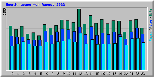 Hourly usage for August 2022