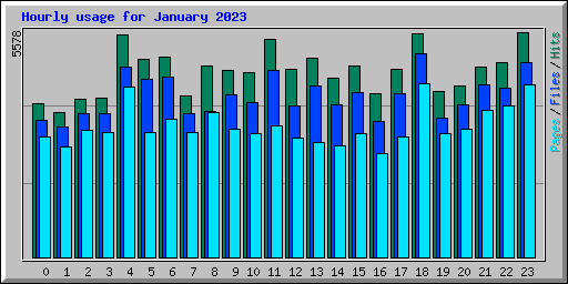 Hourly usage for January 2023