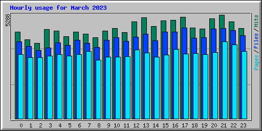 Hourly usage for March 2023