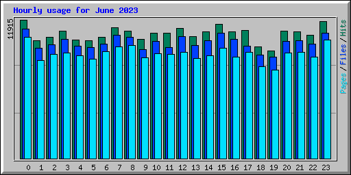 Hourly usage for June 2023