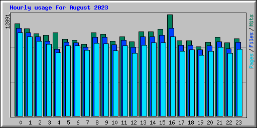 Hourly usage for August 2023