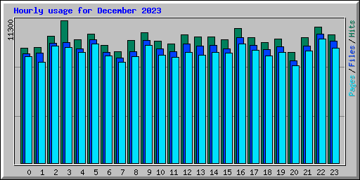 Hourly usage for December 2023