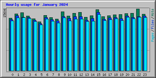 Hourly usage for January 2024