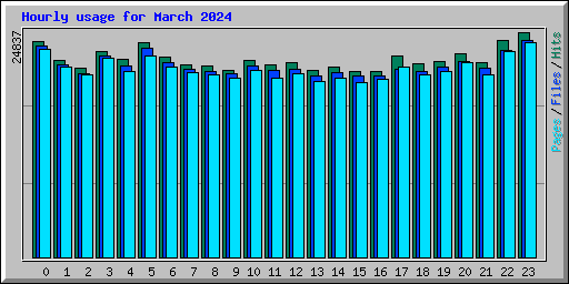 Hourly usage for March 2024