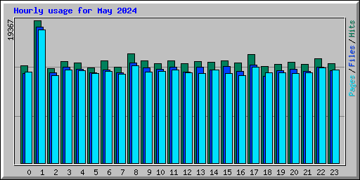 Hourly usage for May 2024