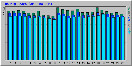 Hourly usage for June 2024