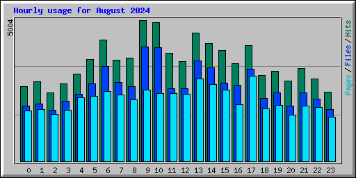 Hourly usage for August 2024