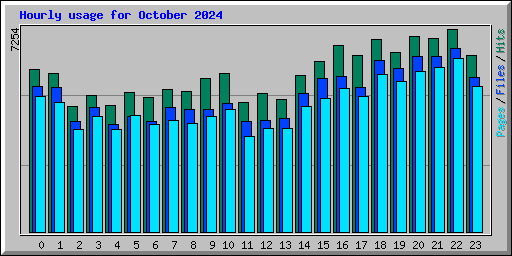 Hourly usage for October 2024