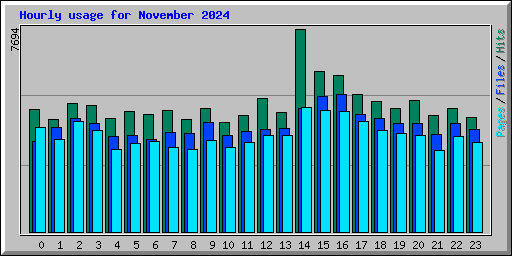 Hourly usage for November 2024