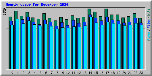 Hourly usage for December 2024