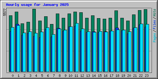 Hourly usage for January 2025