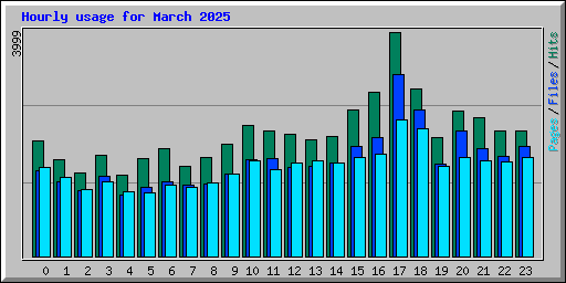 Hourly usage for March 2025