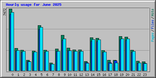 Hourly usage for June 2025