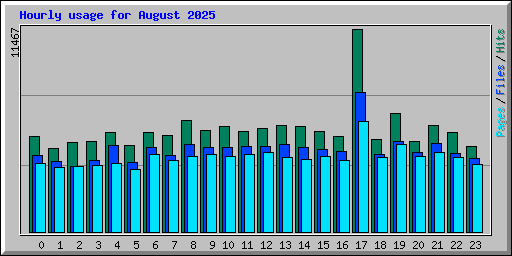 Hourly usage for August 2025