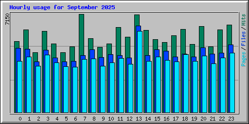 Hourly usage for September 2025
