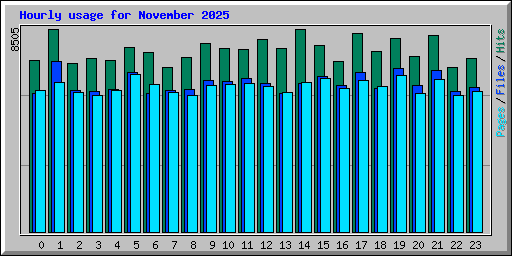 Hourly usage for November 2025