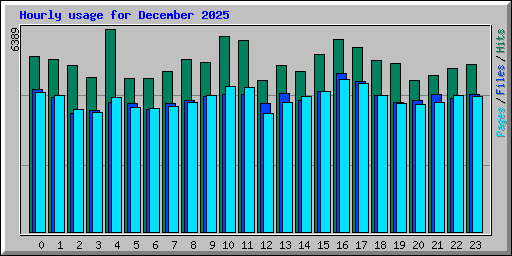 Hourly usage for December 2025