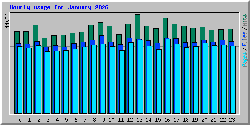 Hourly usage for January 2026
