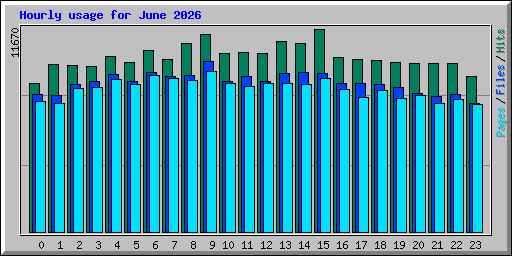 Hourly usage for June 2026