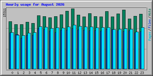 Hourly usage for August 2026